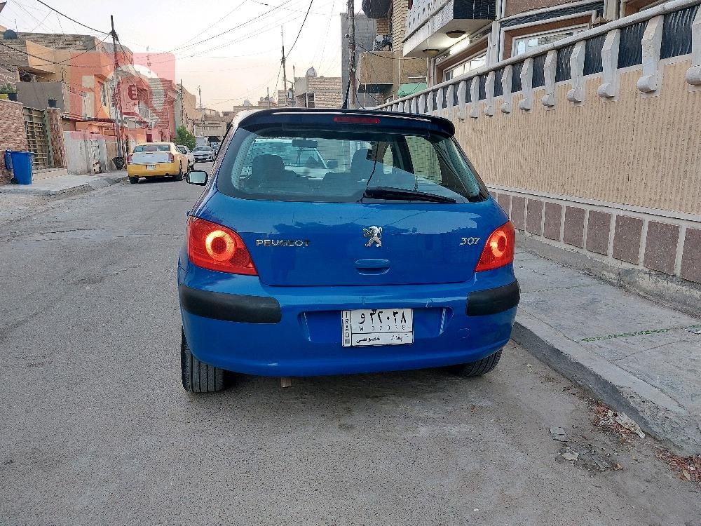 بیجۆ 307